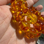 Piebald Amber 17cm Bracelet, 14mm